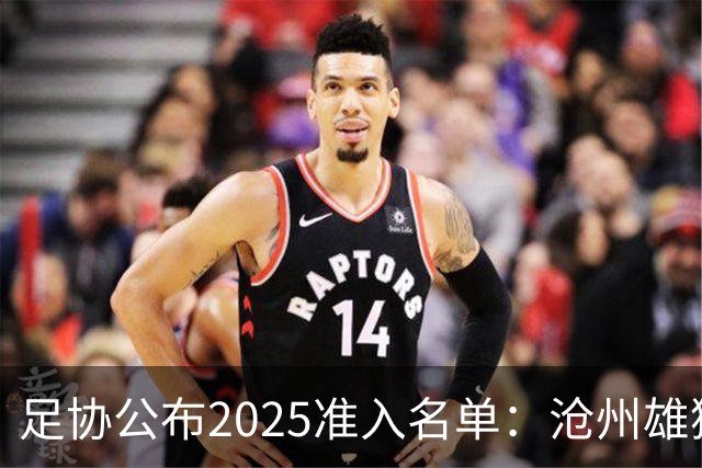 足协公布2025准入名单：沧州雄狮、广州队无缘